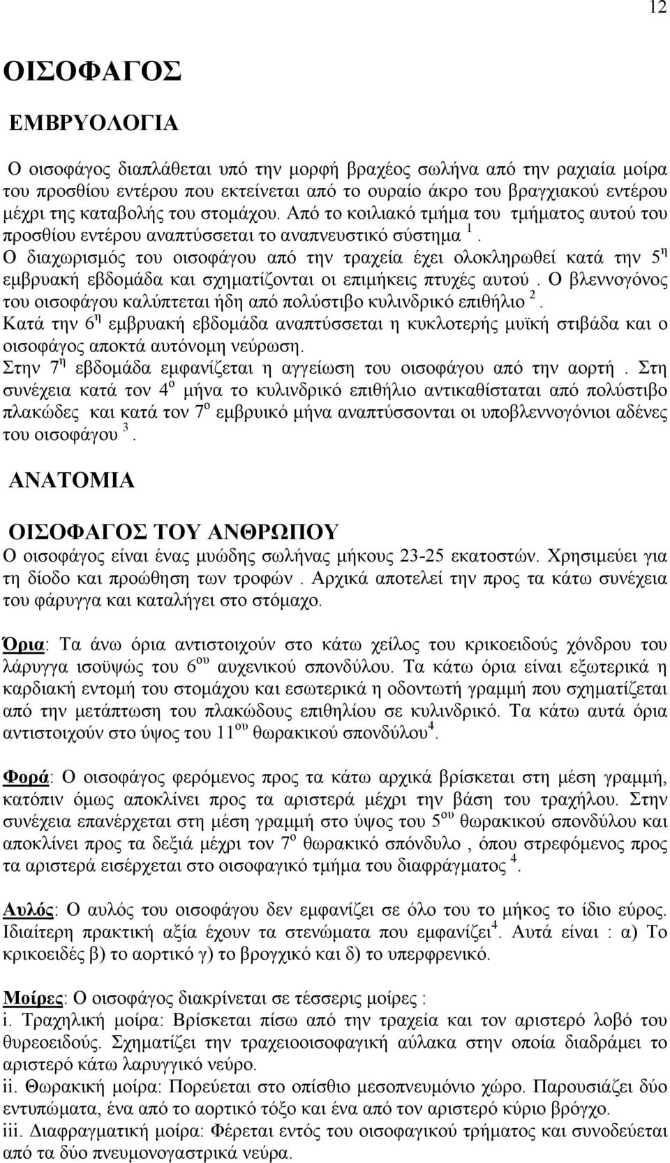 Ο διαχωρισµός του οισοφάγου από την τραχεία έχει ολοκληρωθεί κατά την 5 η εµβρυακή εβδοµάδα και σχηµατίζονται οι επιµήκεις πτυχές αυτού.