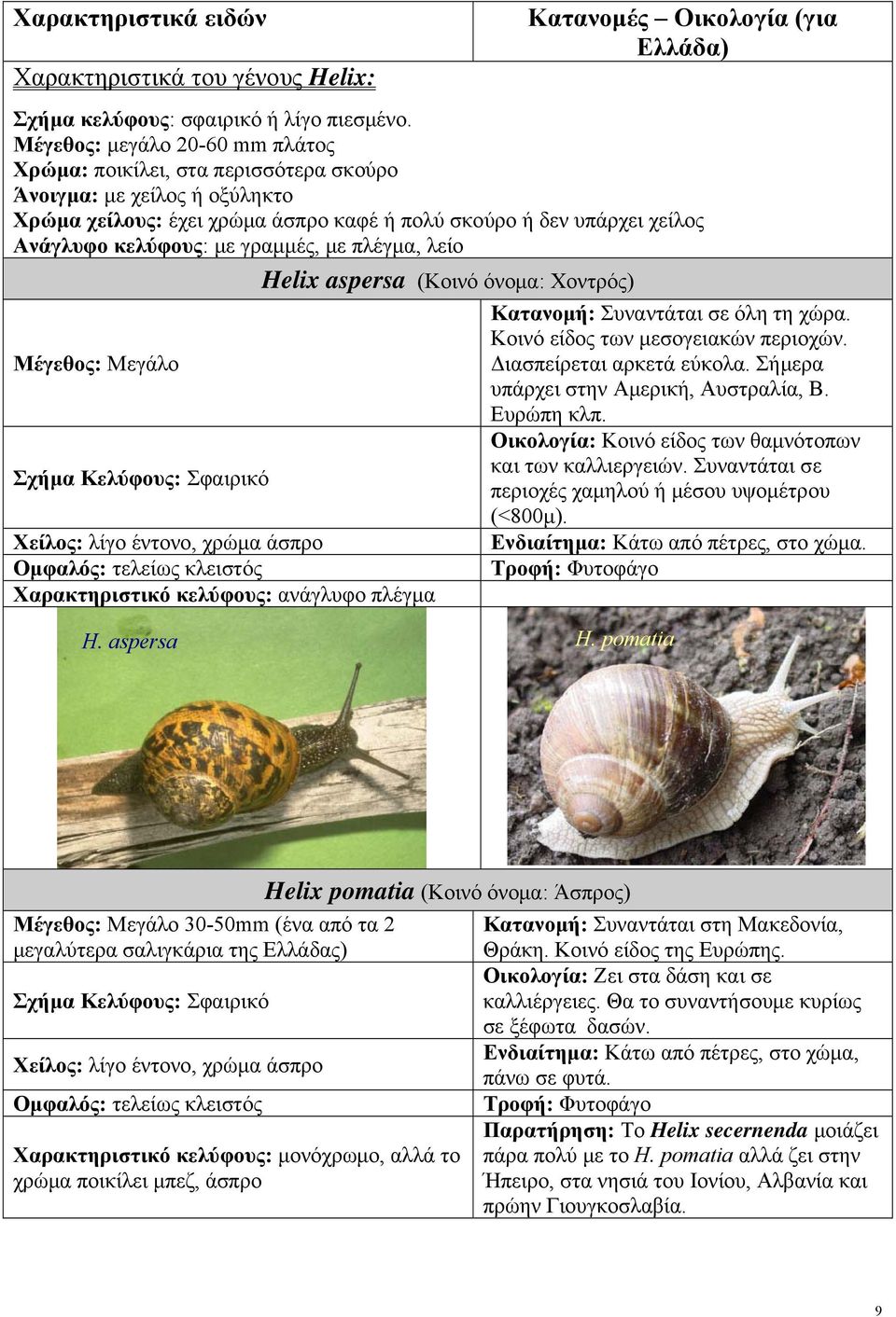 γραμμές, με πλέγμα, λείο Helix aspersa (Κοινό όνομα: Χοντρός) Μέγεθος: Μεγάλο Σχήμα Κελύφους: Σφαιρικό Χείλος: λίγο έντονο, χρώμα άσπρο Ομφαλός: τελείως κλειστός Χαρακτηριστικό κελύφους: ανάγλυφο