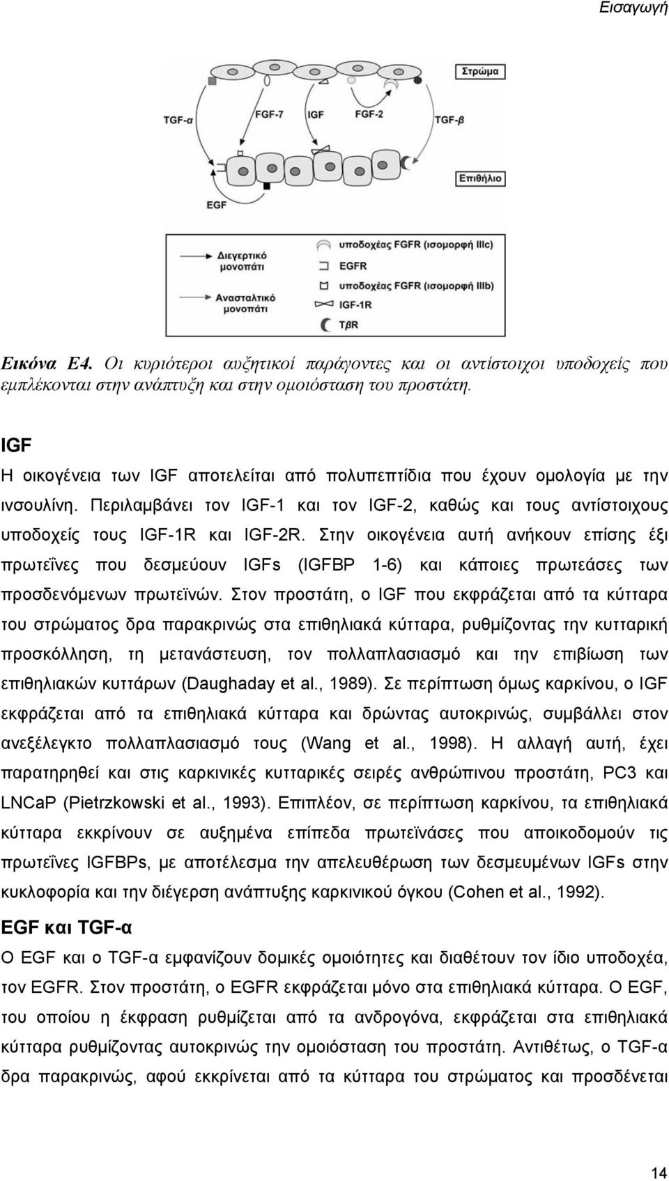 Στην οικογένεια αυτή ανήκουν επίσης έξι πρωτεΐνες που δεσμεύουν IGFs (IGFBP 1-6) και κάποιες πρωτεάσες των προσδενόμενων πρωτεϊνών.