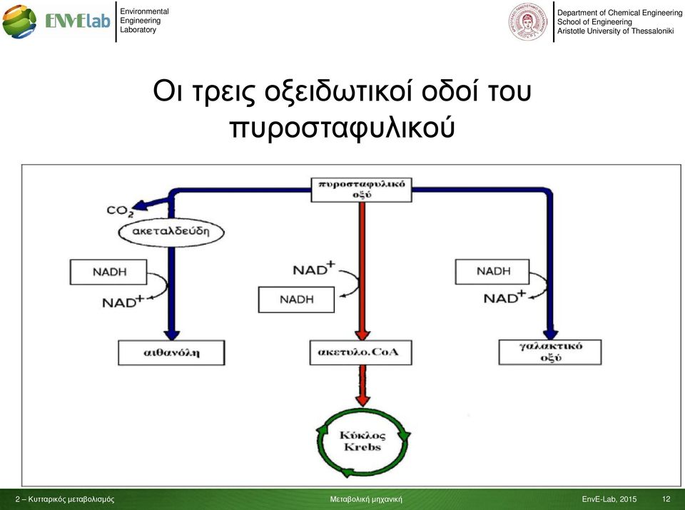 οξειδωτικοί οδοί