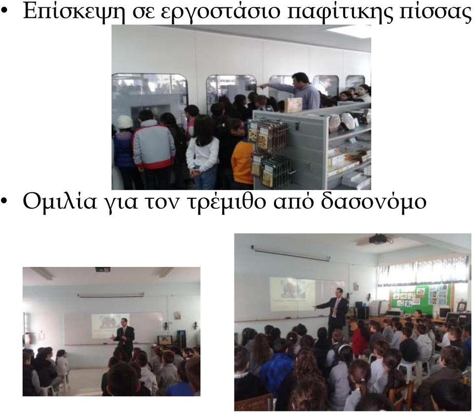 παφίτικης πίσσας