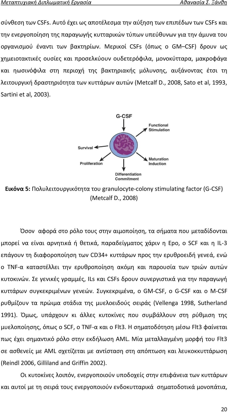 δραστηριότητα των κυττάρων αυτών (Metcalf D., 2008, Sato et al, 1993, Sartini et al, 2003). Εικόνα 5: Πολυλειτουργικότητα του granulocyte-colony stimulating factor (G-CSF) (Metcalf D.