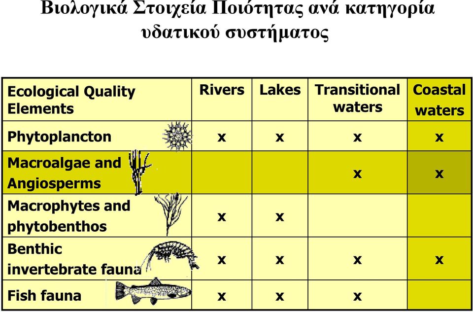 waters Phytoplancton x x x x Macroalgae and Angiosperms x x