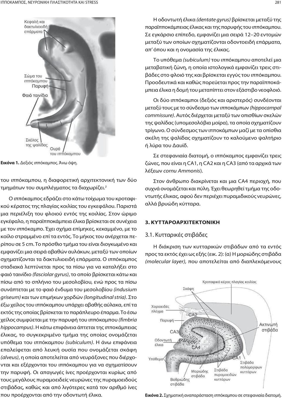 Το υπόθεμα (subiculum) του ιππόκαμπου αποτελεί μια μεταβατική ζώνη, η οποία ιστολογικά εμφανίζει τρεις στιβάδες στο φλοιό της και βρίσκεται εγγύς του ιππόκαμπου.