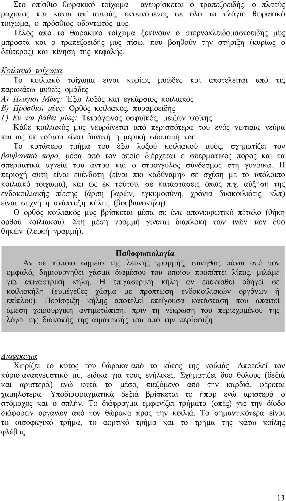 Κοιλιακό τοίχωµα Το κοιλιακό τοίχωµα είναι κυρίως µυώδες και αποτελείται από τις παρακάτω µυϊκές οµάδες.