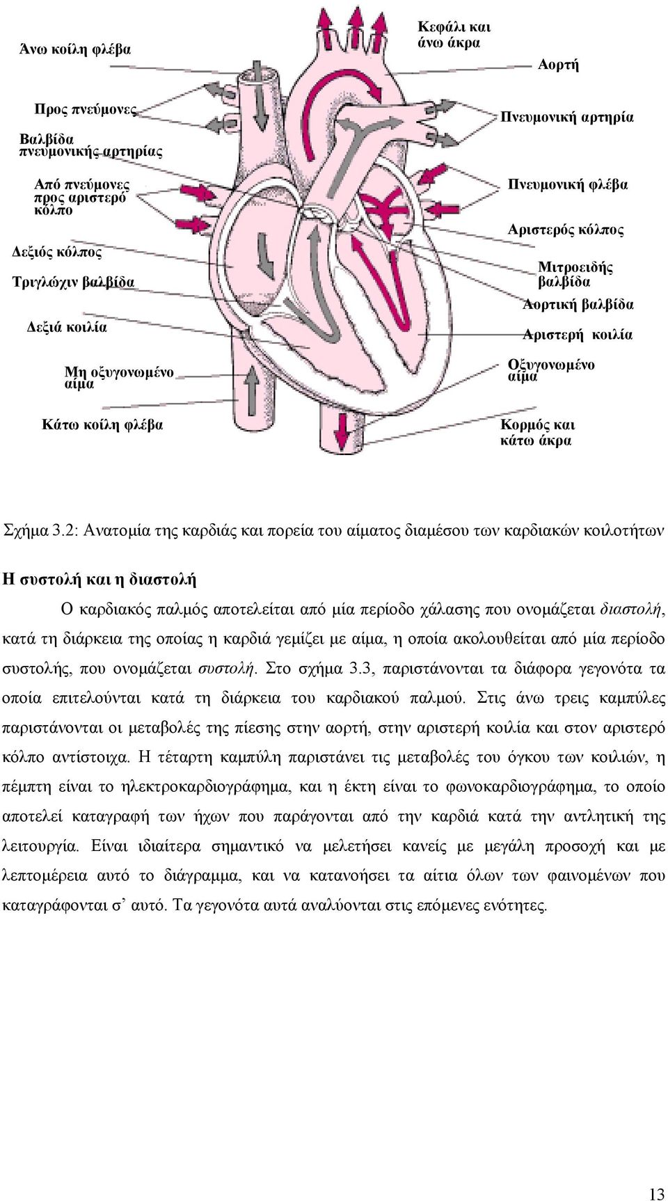 2: Ανατομία της καρδιάς και πορεία του αίματος διαμέσου των καρδιακών κοιλοτήτων Η συστολή και η διαστολή Ο καρδιακός παλμός αποτελείται από μία περίοδο χάλασης που ονομάζεται διαστολή, κατά τη