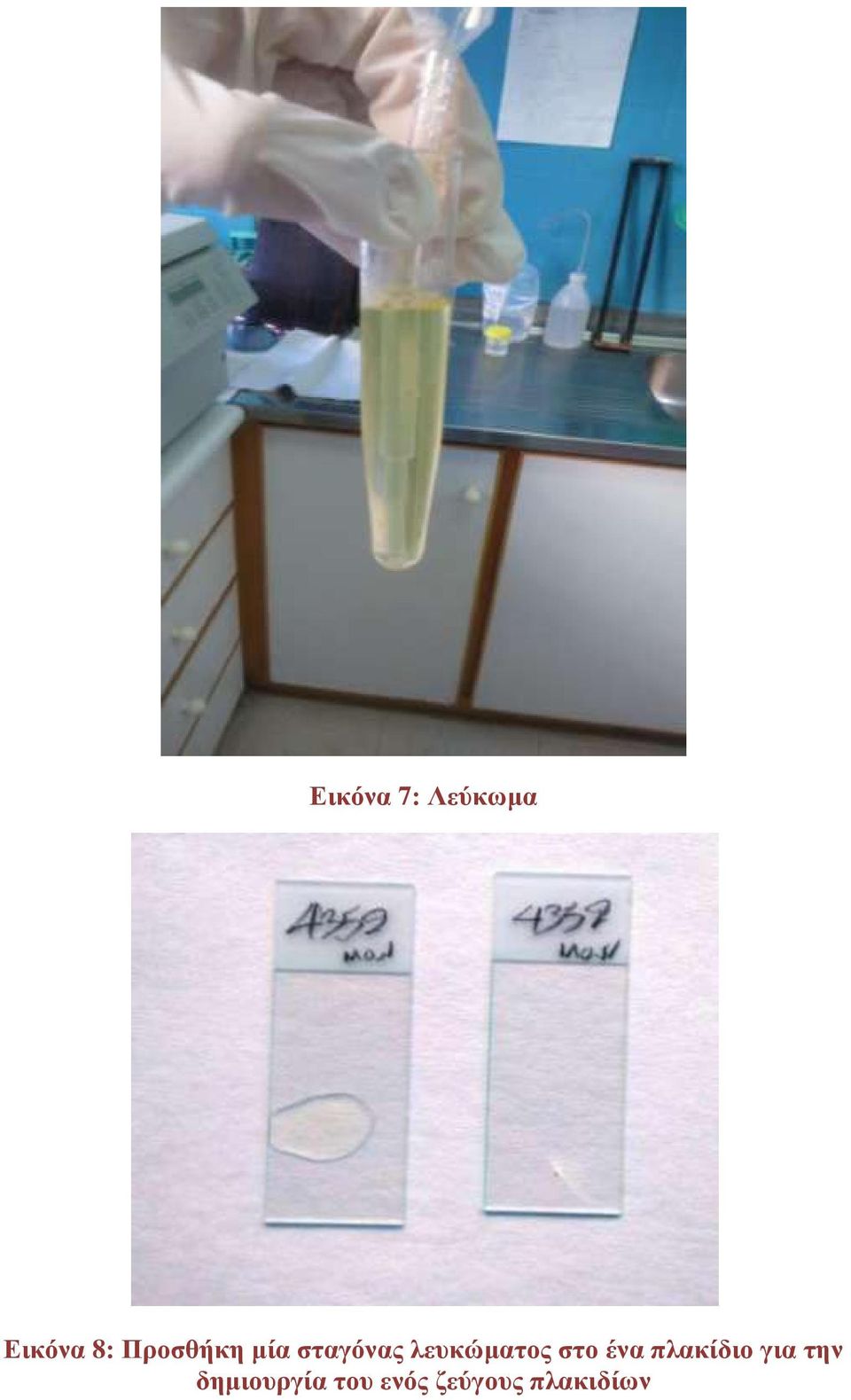 λευκώματος στο ένα πλακίδιο