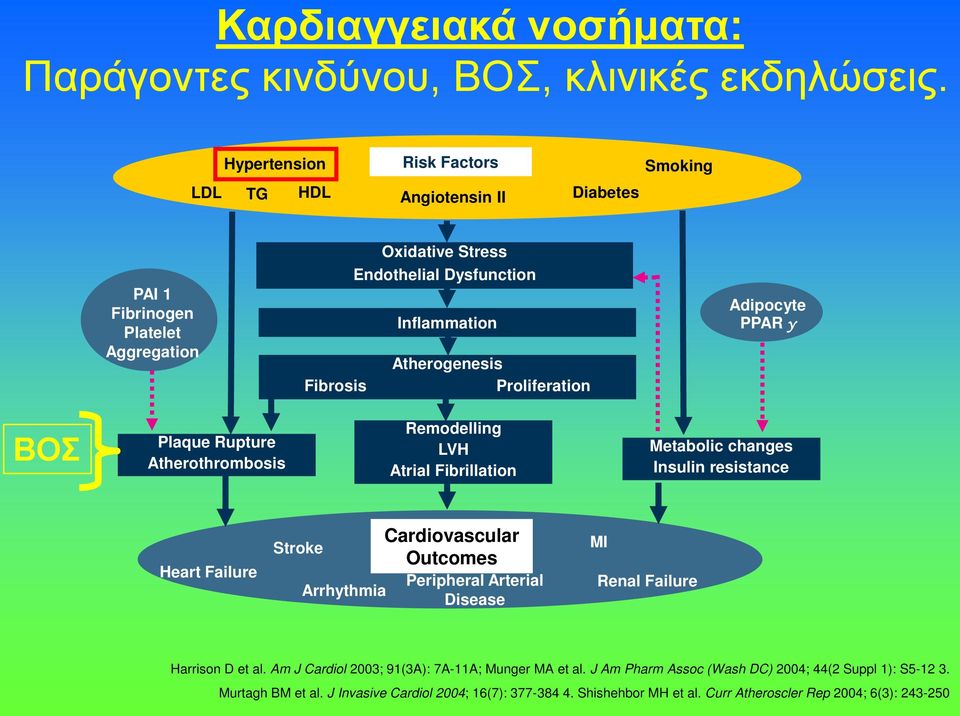 Proliferation Adipocyte PPAR γ ΒΟΣ Plaque Rupture Atherothrombosis Remodelling LVH Atrial Fibrillation Metabolic changes Insulin resistance Heart Failure Stroke Arrhythmia Cardiovascular