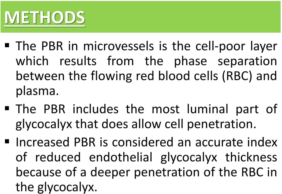 The PBR includes the most luminal part of glycocalyx that does allow cell penetration.