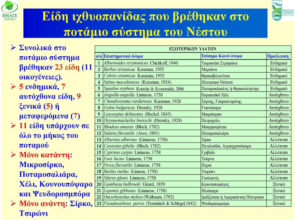 Σίρκο, Τσιρώνι ΕΣΩΤΕΡΙΚΩΝ ΥΔΑΤΩΝ α/α Επιστημονικό όνομα Επίσημο Κοινό όνομα Προέλευση 1 Alburnoides strymonicus Chichkoff, 1940 Τσιρωνάκι Στρυμώνα Ενδημικό 2 Barbus strumicae Karaman, 1955 Μπριάνα