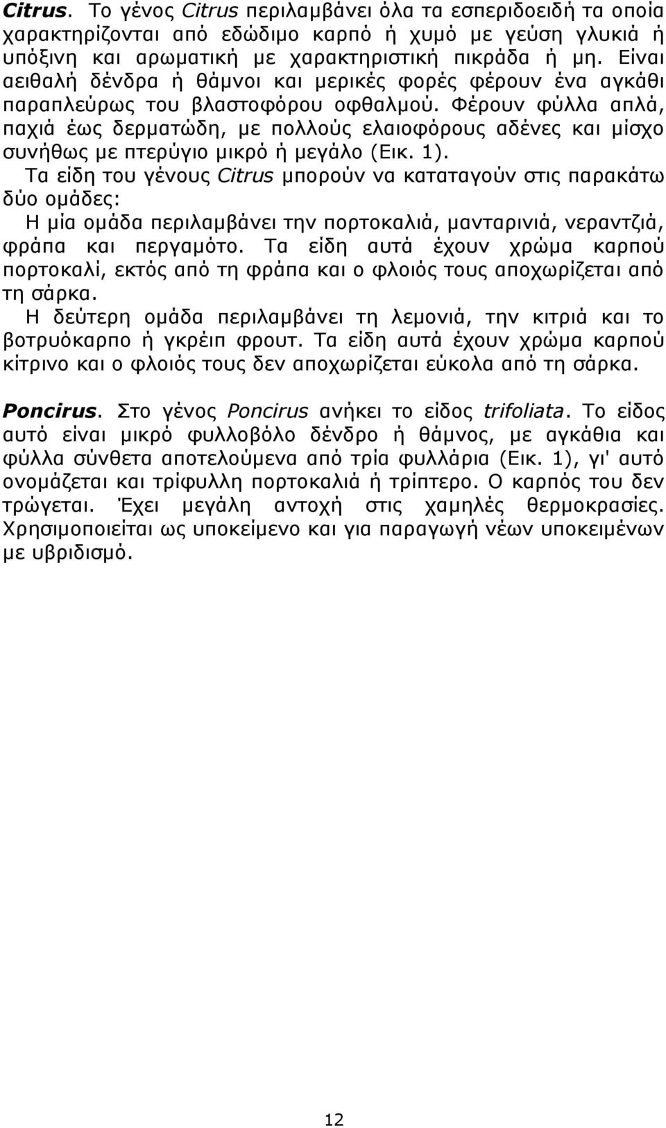 Φέρουν φύλλα απλά, παχιά έως δερματώδη, με πολλούς ελαιοφόρους αδένες και μίσχο συνήθως με πτερύγιο μικρό ή μεγάλο (Εικ. 1).