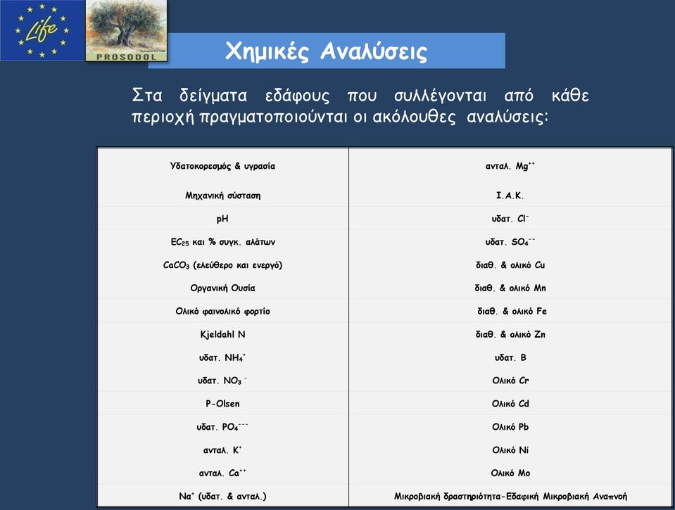 SO 4 -- CaCO 3 (ελεύθερο και ενεργό) Οργανική Ουσία Ολικό φαινολικό φορτίο Kjeldahl Ν + υδατ. NH 4 - υδατ. NO 3 P-Olsen --- υδατ. PO 4 ανταλ.