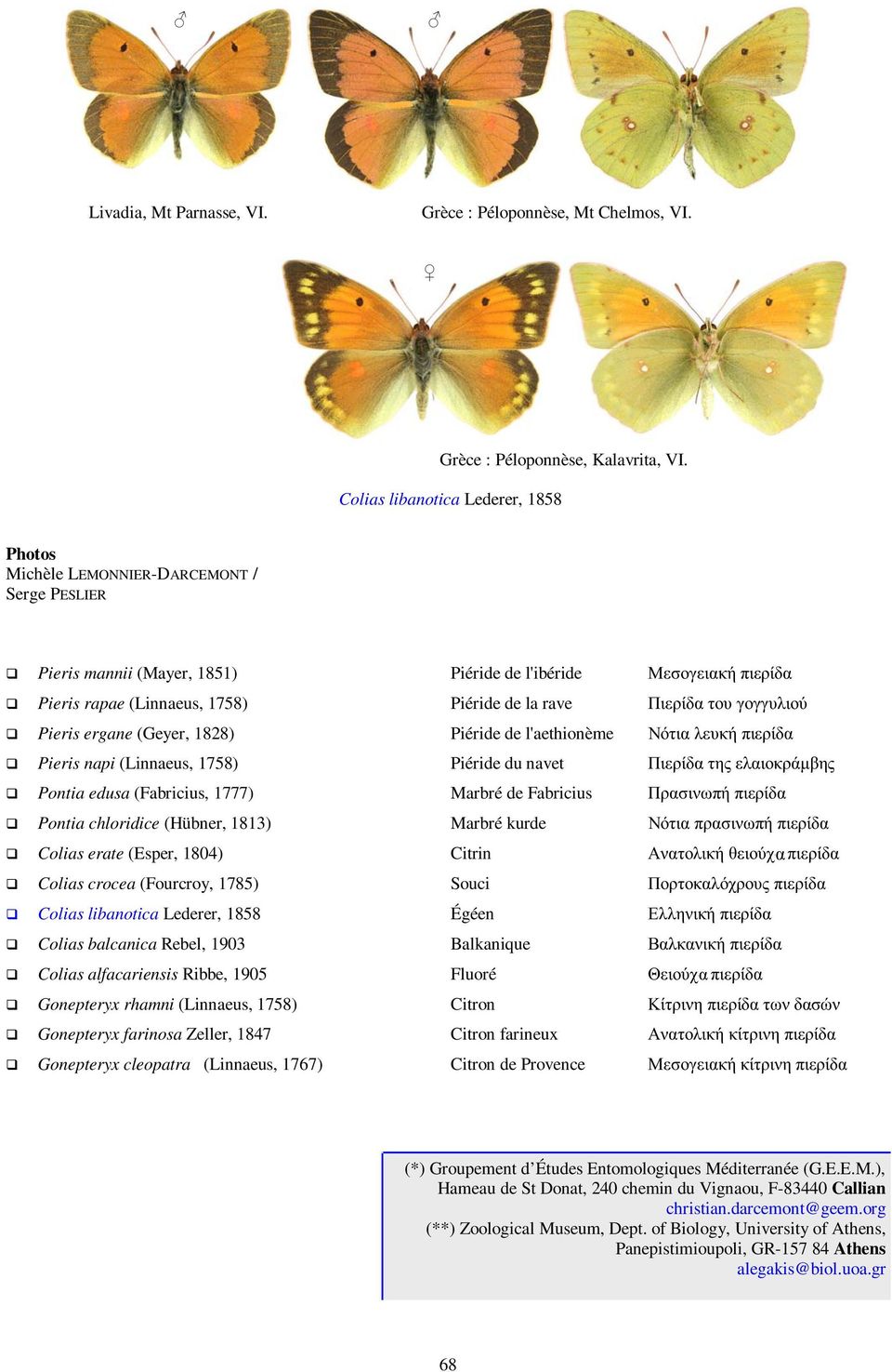 (Geyer, 1828) Piéride de l'aethionème Pieris napi (Linnaeus, 1758) Piéride du navet Pontia edusa (Fabricius, 1777) Marbré de Fabricius Pontia chloridice (Hübner, 1813) Marbré kurde Colias erate