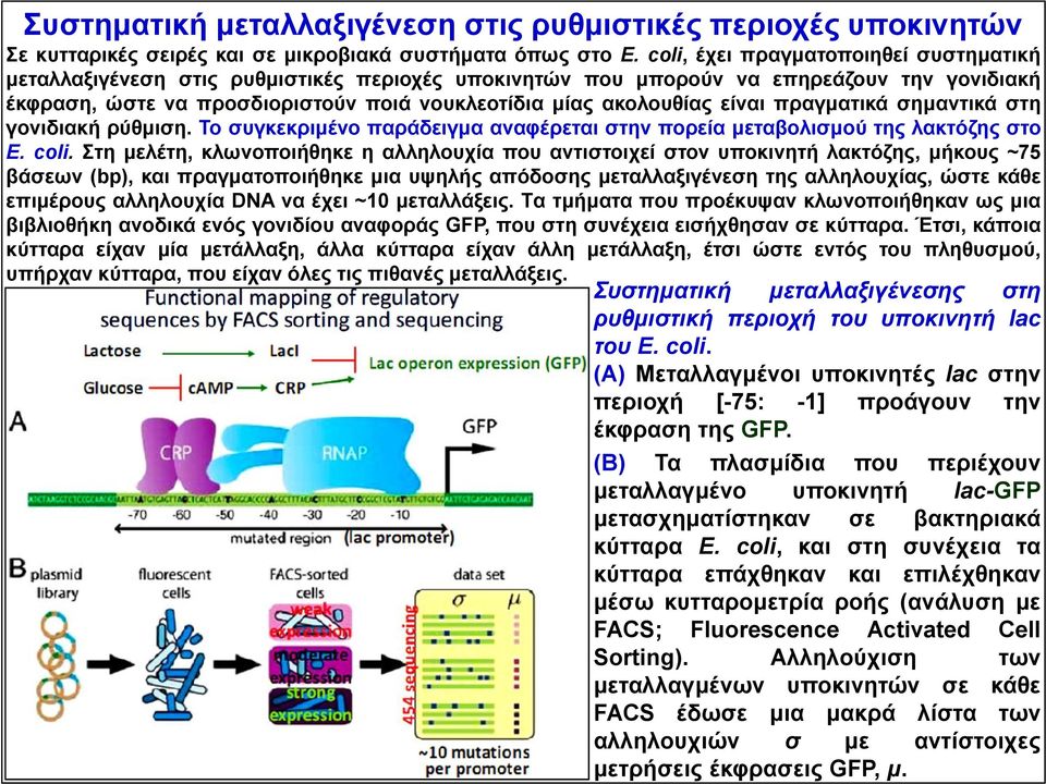 είναι πραγματικά σημαντικά στη γονιδιακή ρύθμιση. Το συγκεκριμένο παράδειγμα αναφέρεται στην πορεία μεταβολισμού της λακτόζης στο Ε. coli.