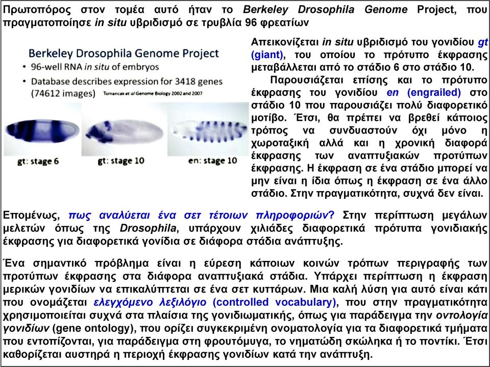 Έτσι, θα πρέπει να βρεθεί κάποιος τρόπος να συνδυαστούν όχι μόνο η χωροταξική αλλά και η χρονική διαφορά έκφρασης των αναπτυξιακών προτύπων έκφρασης.
