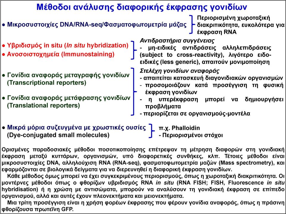 μονιμοποίηση Γονίδια αναφοράς μεταγραφής γονιδίων (Transcriptional reporters) Γονίδια αναφοράς μετάφρασης γονιδίων (Translational reporters) Στελέχη γονιδίων αναφοράς - απαιτείται κατασκευή