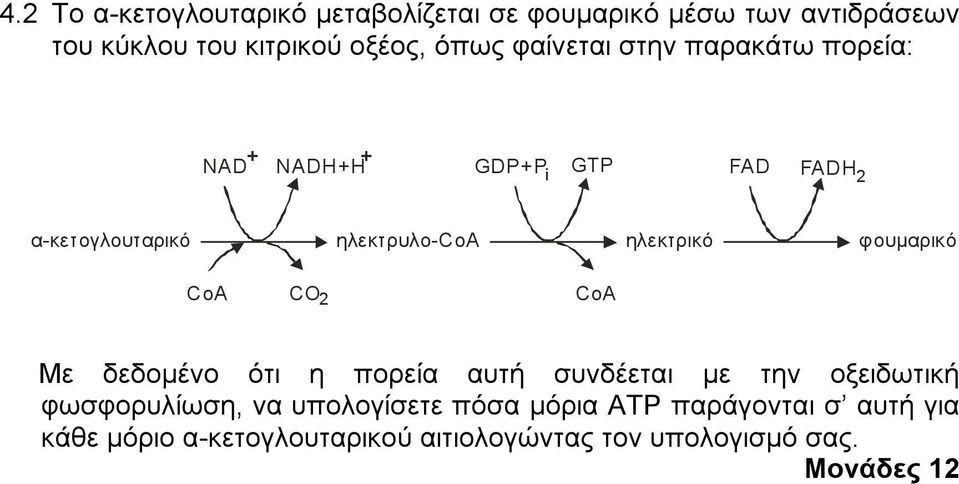 φουµαρικό CoA CO CoA 2 Με δεδοµένο ότι η πορεία αυτή συνδέεται µε την οξειδωτική φωσφορυλίωση, να υπολογίσετε