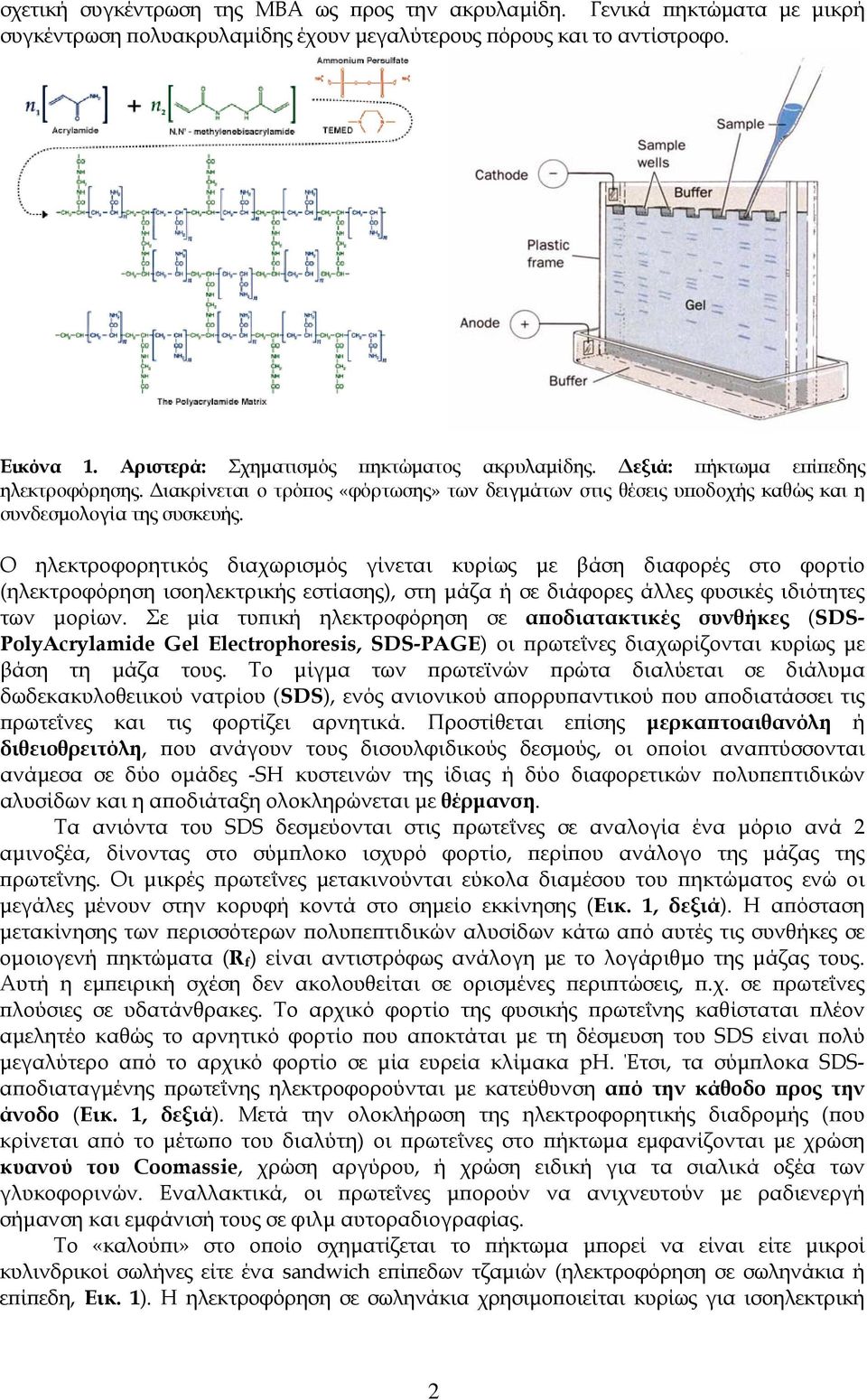 Ο ηλεκτροφορητικός διαχωρισμός γίνεται κυρίως με βάση διαφορές στο φορτίο (ηλεκτροφόρηση ισοηλεκτρικής εστίασης), στη μάζα ή σε διάφορες άλλες φυσικές ιδιότητες των μορίων.