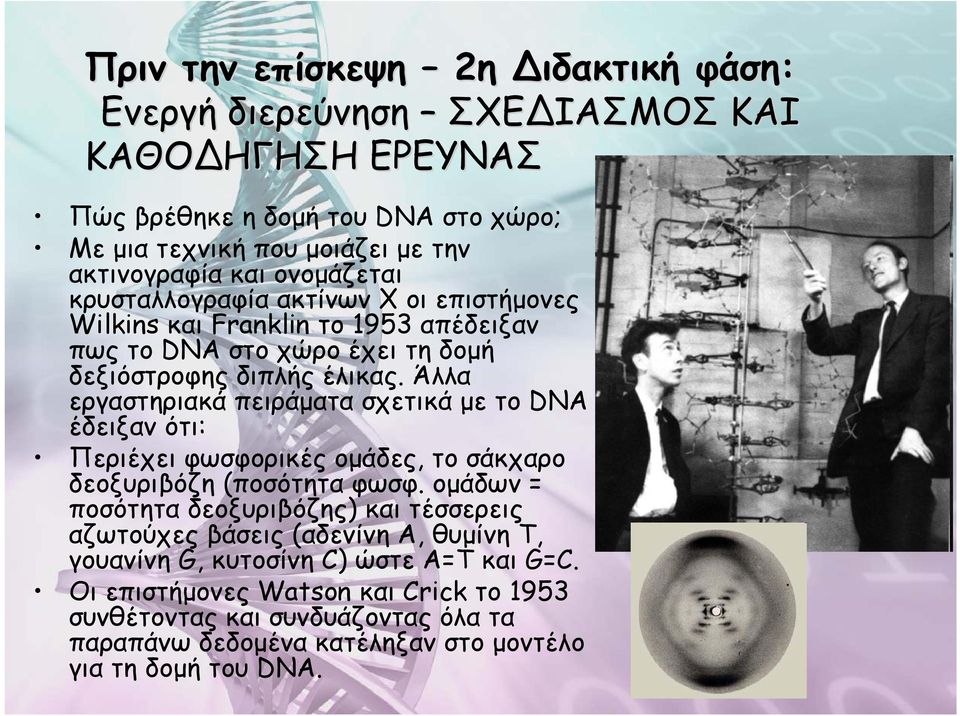 Άλλα εργαστηριακά πειράματα σχετικά με το DNA έδειξαν ότι: Περιέχει φωσφορικές ομάδες, το σάκχαρο δεοξυριβόζη (ποσότητα φωσφ.