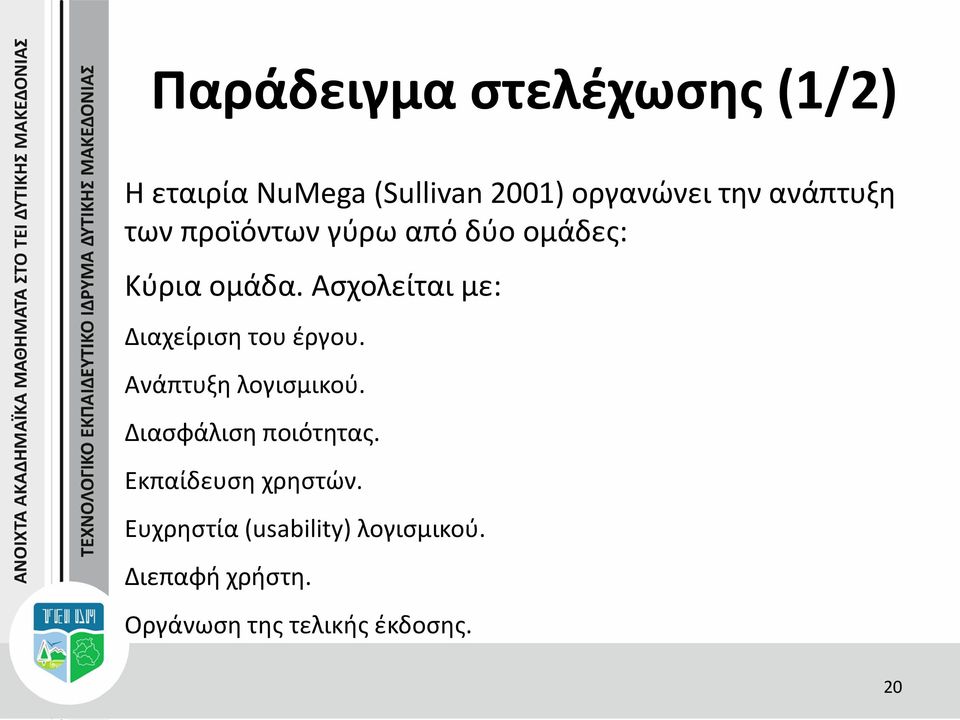 Ασχολείται με: Διαχείριση του έργου. Ανάπτυξη λογισμικού. Διασφάλιση ποιότητας.