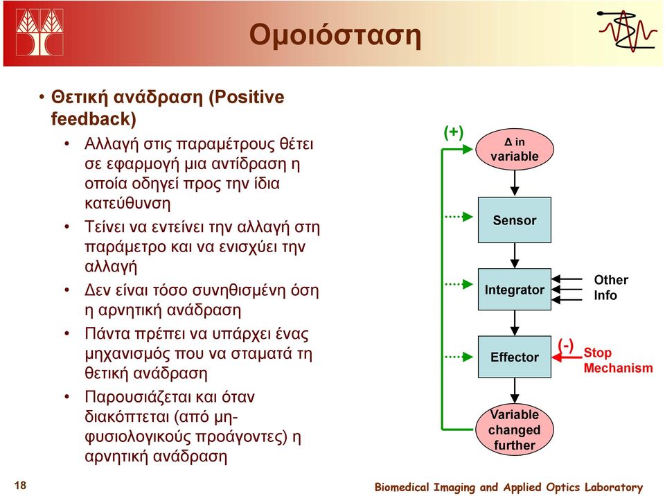 Πάντα πρέπει να υπάρχει ένας μηχανισμός που να σταματά τη θετική ανάδραση Παρουσιάζεται και όταν διακόπτεται (από μη- φυσιολογικούς