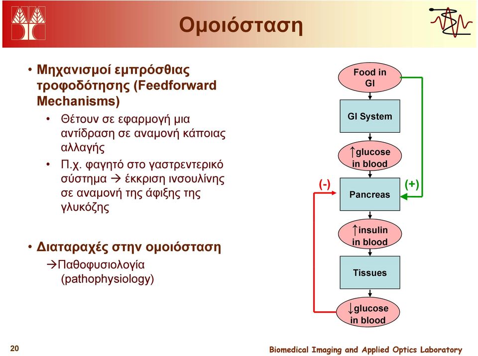 φαγητό στο γαστρεντερικό σύστημα έκκριση ινσουλίνης σε αναμονή της άφιξης της γλυκόζης