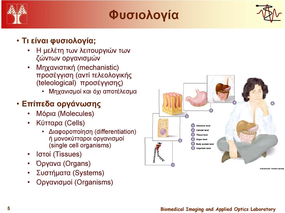 αποτέλεσμα Επίπεδα οργάνωσης Μόρια (Molecules) Κύτταρα (Cells) Διαφοροποίηση (differentiation) ή