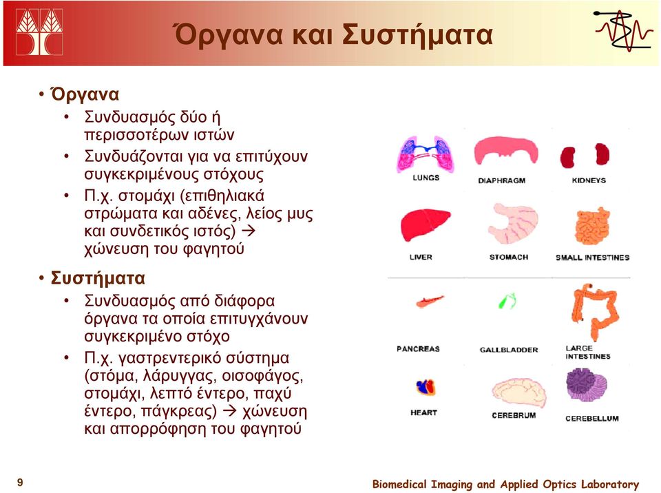 Συστήματα Συνδυασμός από διάφορα όργανα τα οποία επιτυγχά