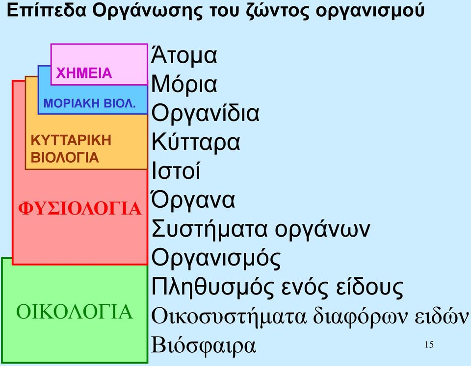 Κύτταρα Ιστοί Όργανα Συστήματα οργάνων Οργανισμός