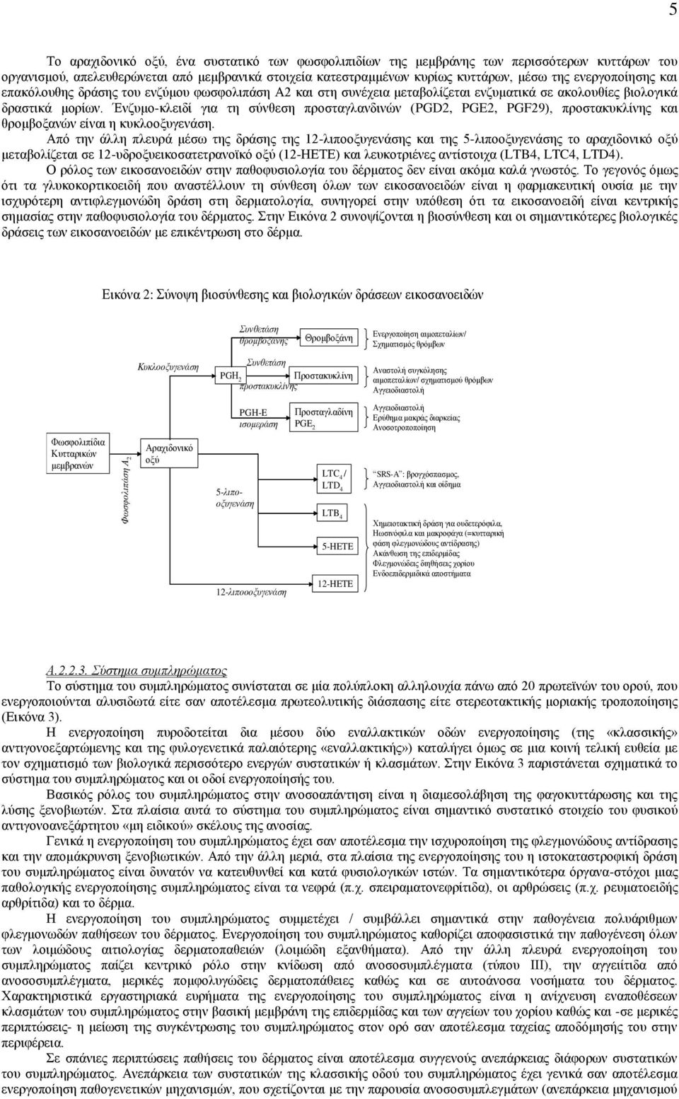 Έλδπκν-θιεηδί γηα ηε ζχλζεζε πξνζηαγιαλδηλψλ (PGD2, PGE2, PGF29), πξνζηαθπθιίλεο θαη ζξνκβνμαλψλ είλαη ε θπθιννμπγελάζε.