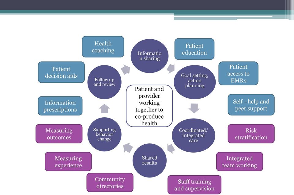 Goal setting, action planning Coordinated/ integrated care Patient access to EMRs Self help and peer support Risk