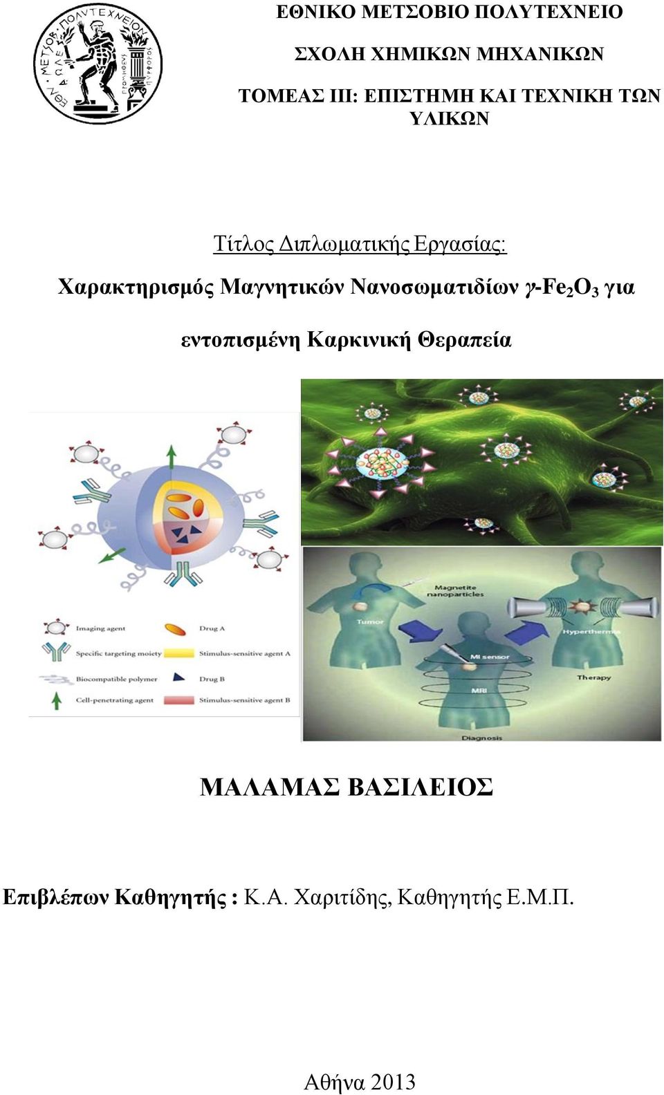 Μαγνητικών Νανοσωματιδίων γ-fe 2 O 3 για εντοπισμένη Καρκινική Θεραπεία