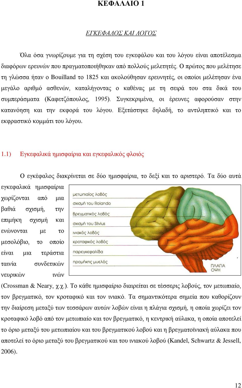 (Καφετζόπουλος, 1995). Συγκεκριμένα, οι έρευνες αφορούσαν στην κατανόηση και την εκφορά του λόγου. Εξετάστηκε δηλαδή, το αντιληπτικό και το εκφραστικό κομμάτι του λόγου. 1.1) Εγκεφαλικά ημισφαίρια και εγκεφαλικός φλοιός Ο εγκέφαλος διακρίνεται σε δύο ημισφαίρια, το δεξί και το αριστερό.