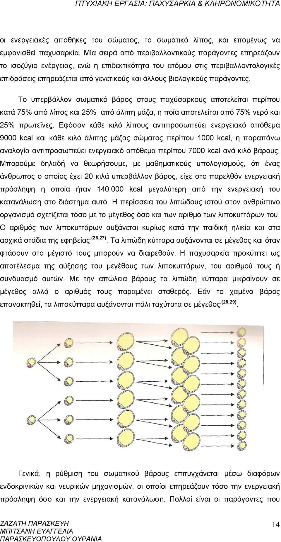 παράγοντες. Το υπερβάλλον σωματικό βάρος στους παχύσαρκους αποτελείται περίπου κατά 75% από λίπος και 25% από άλιπη μάζα, η ποία αποτελείται από 75% νερό και 25% πρωτεΐνες.