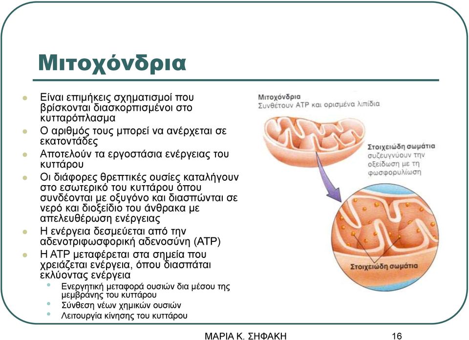 διοξείδιο του άνθρακα με απελευθέρωση ενέργειας Η ενέργεια δεσμεύεται από την αδενοτριφωσφορική αδενοσύνη (ΑΤΡ) Η ΑΤΡ μεταφέρεται στα σημεία που χρειάζεται