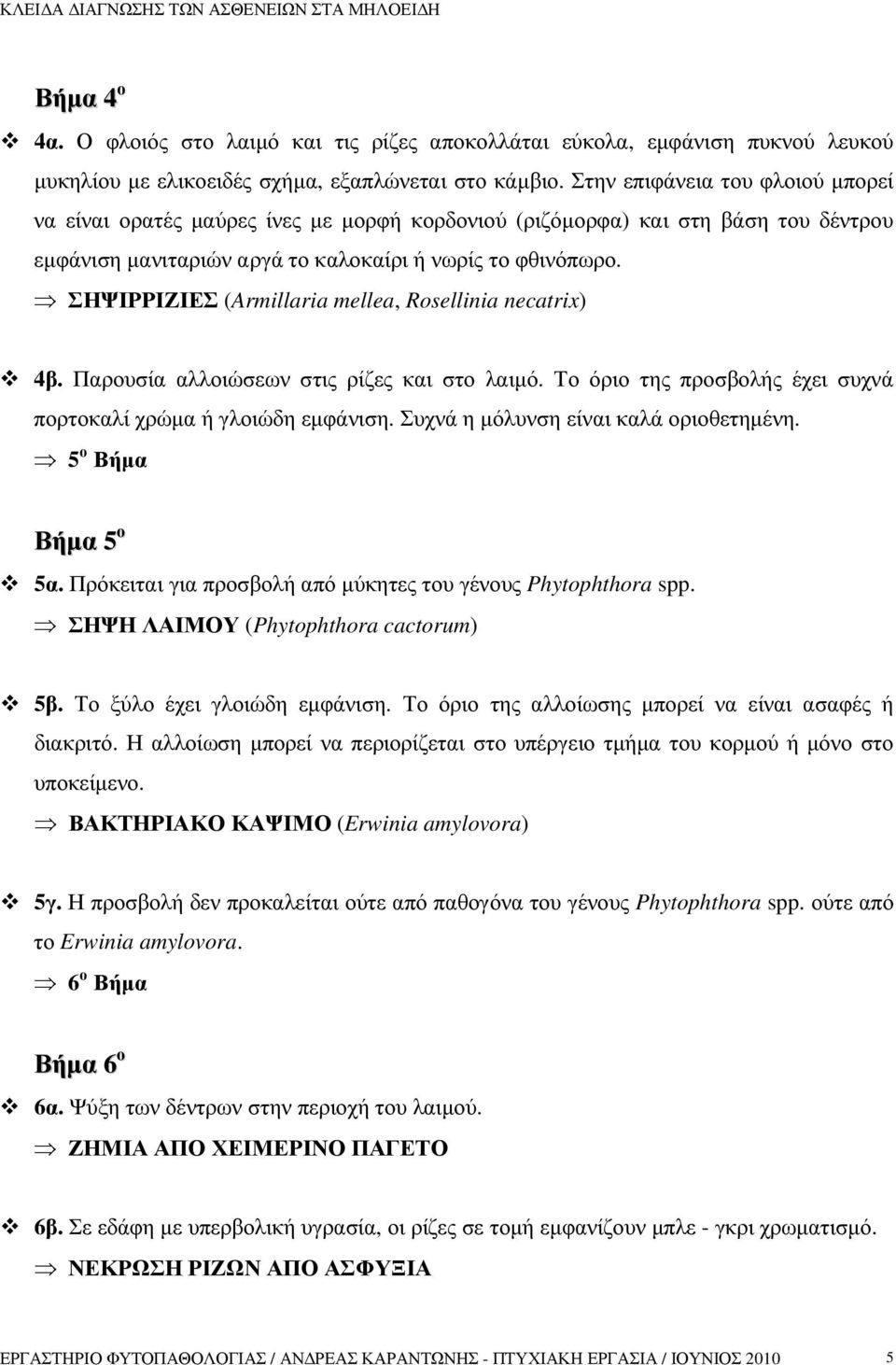 ΣΗΨΙΡΡΙΖΙΕΣ (Armillaria mellea, Rosellinia necatrix) 4β. Παρουσία αλλοιώσεων στις ρίζες και στο λαιµό. Το όριο της προσβολής έχει συχνά πορτοκαλί χρώµα ή γλοιώδη εµφάνιση.