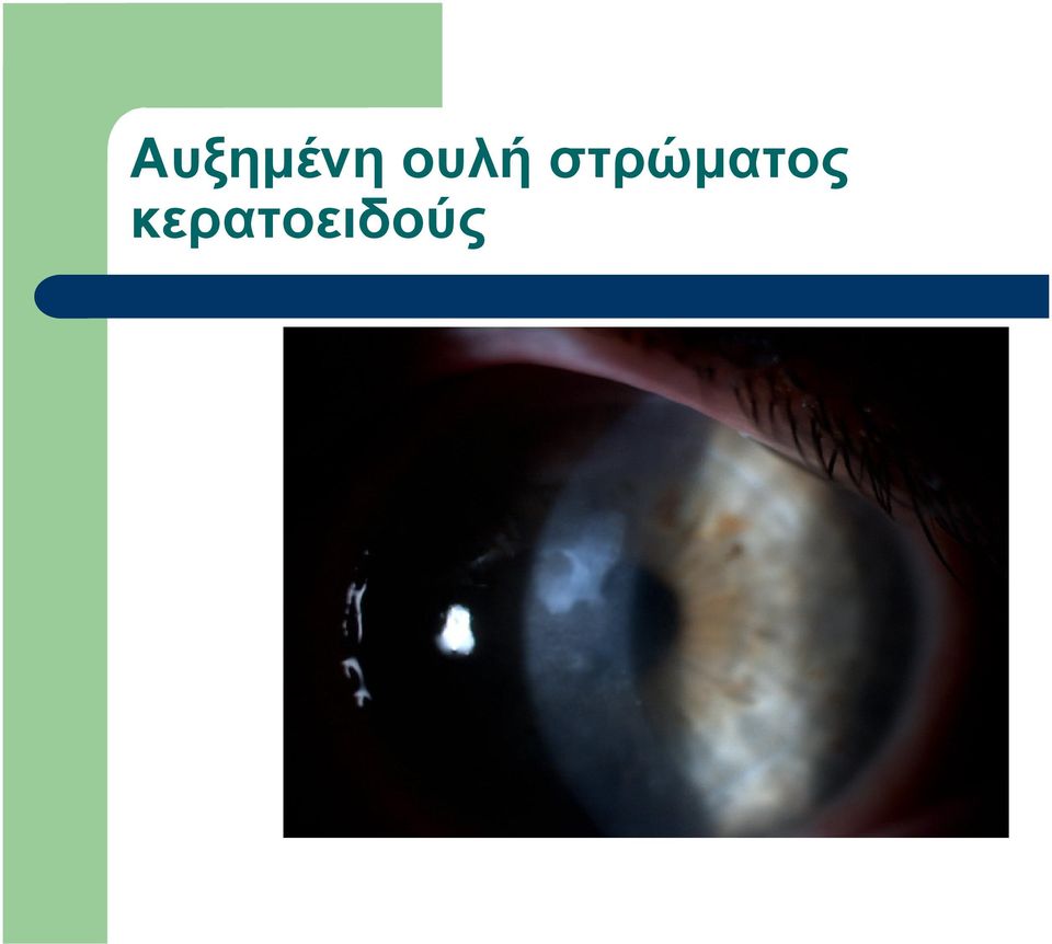 στρώματος