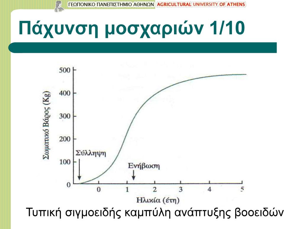 Τυπική