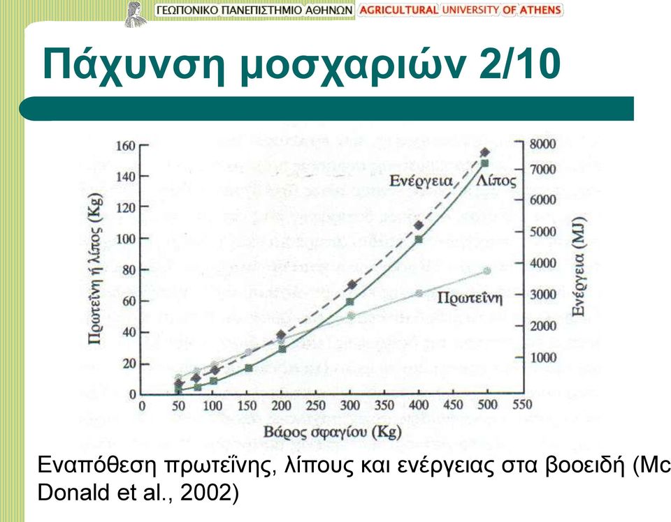 λίπους και ενέργειας στα