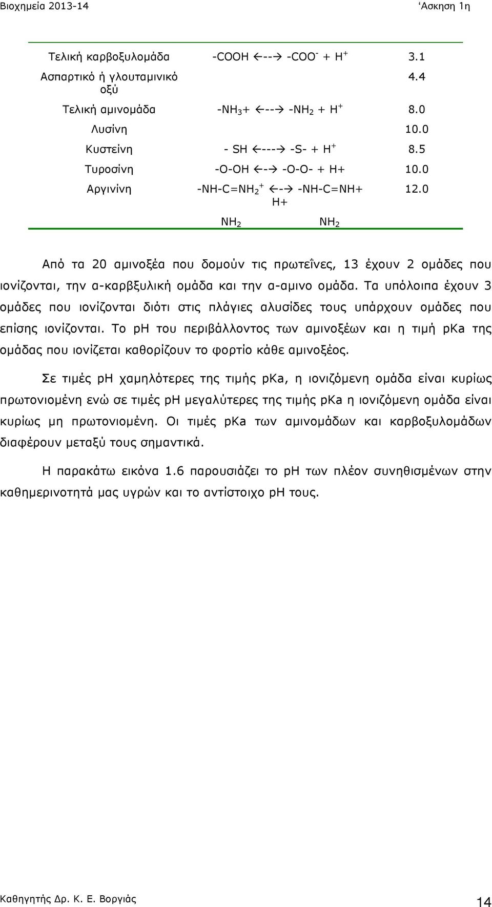 0 Από τα 20 αµινοξέα που δοµούν τις πρωτεΐνες, 13 έχουν 2 οµάδες που ιονίζονται, την α-καρβξυλική οµάδα και την α-αµινο οµάδα.