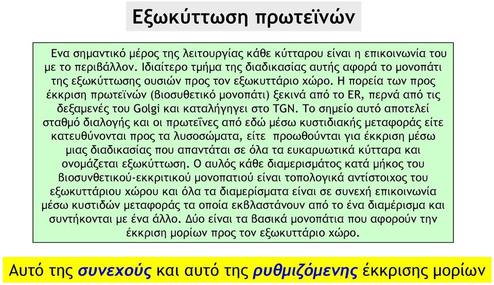 Η πορεία των προς έκκριση πρωτεϊνών (βιοσυθετικό μονοπάτι) ξεκινά από το ER, περνά από τις δεξαμενές του Golgi και καταλήγηγει στο TGN.