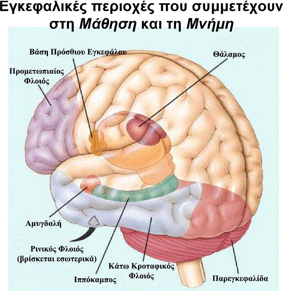 συµµετέχουν