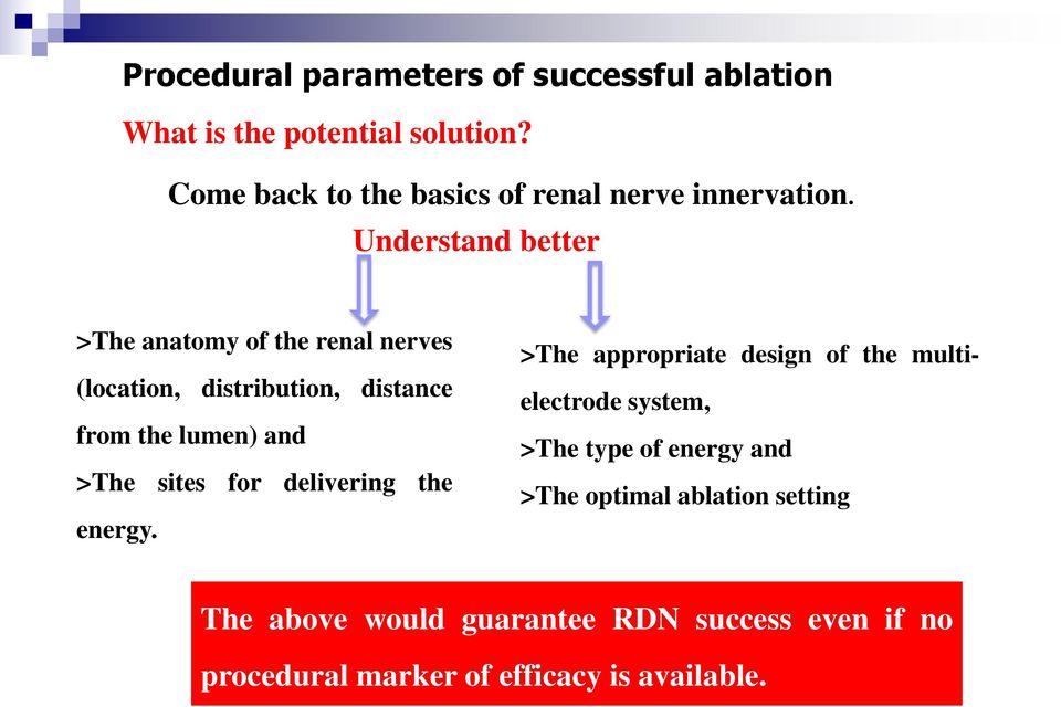 Understand better >The anatomy of the renal nerves (location, distribution, distance from the lumen) and >The sites