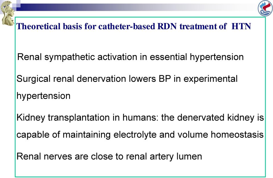 experimental hypertension Kidney transplantation in humans: the denervated kidney is