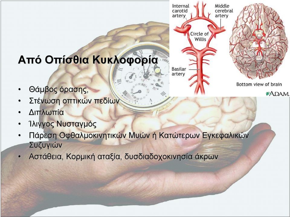 Οφθαλµοκινητικών Μυών ή Κατώτερων Εγκεφαλικών