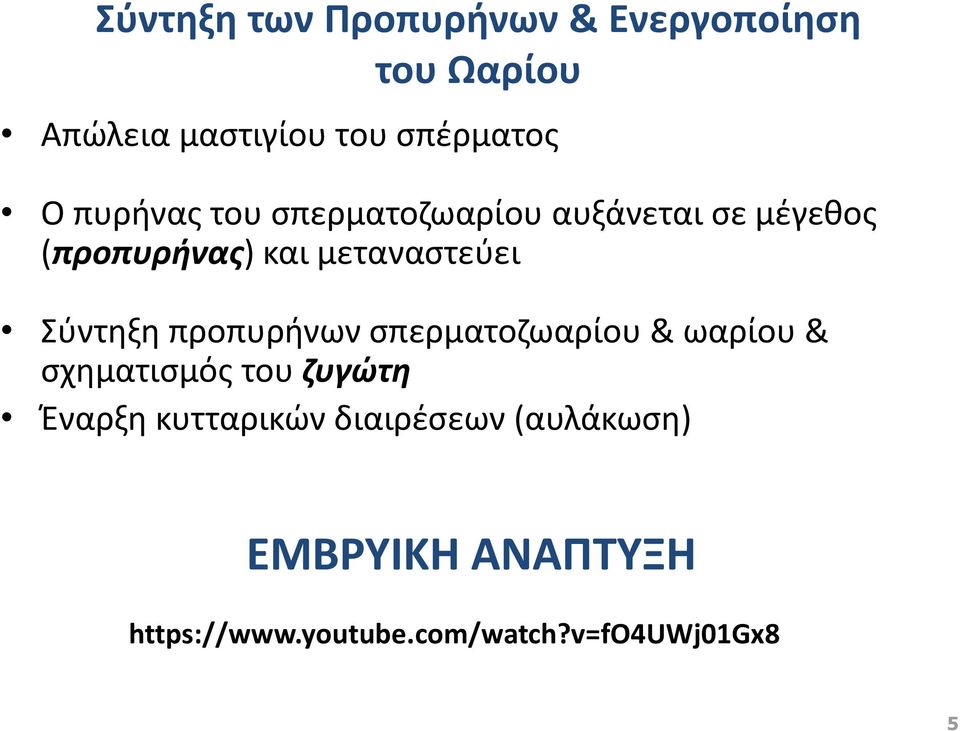 Σύντηξη προπυρήνων σπερματοζωαρίου & ωαρίου & σχηματισμός του ζυγώτη Έναρξη