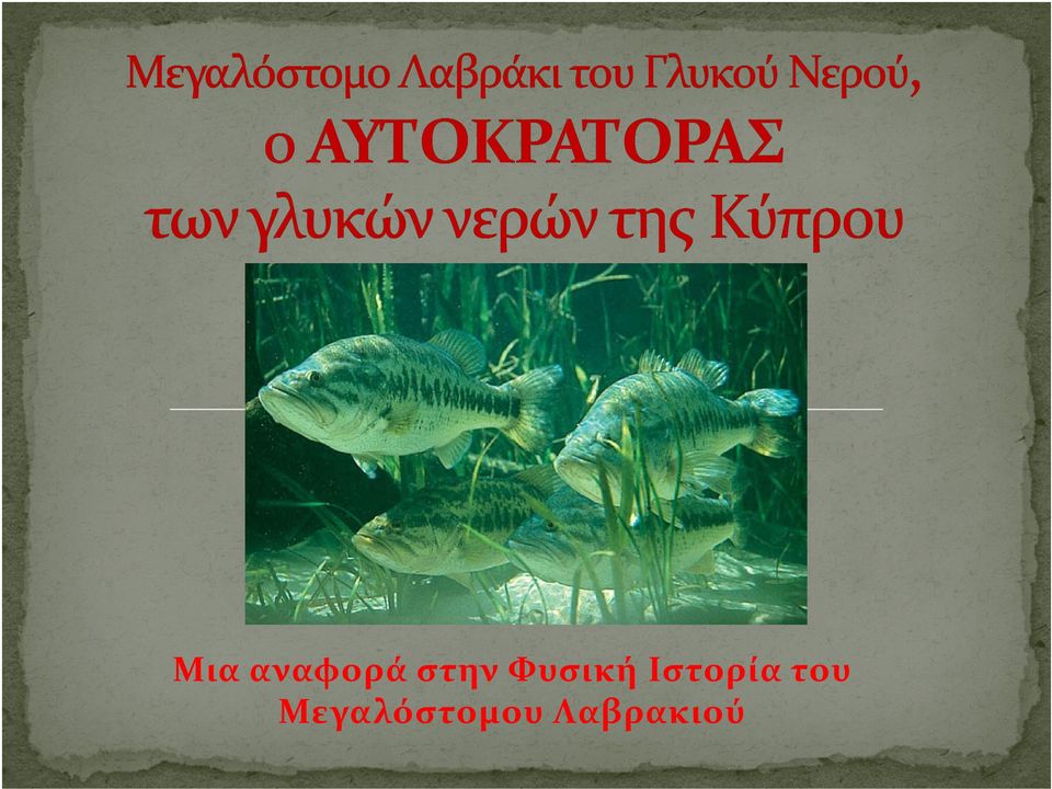 του Μεγαλόστομου