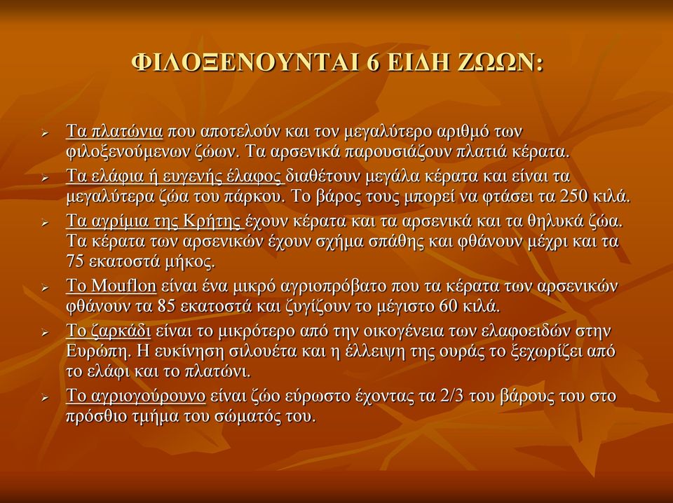 Τα αγρίμια της Κρήτης έχουν κέρατα και τα αρσενικά και τα θηλυκά ζώα. Τα κέρατα των αρσενικών έχουν σχήμα σπάθης και φθάνουν μέχρι και τα 75 εκατοστά μήκος.