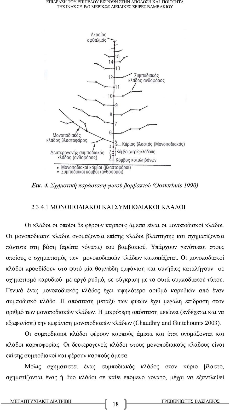 Υπάρχουν γενότυποι στους οποίους ο σχηματισμός των μονοποδιακών κλάδων καταπιέζεται.