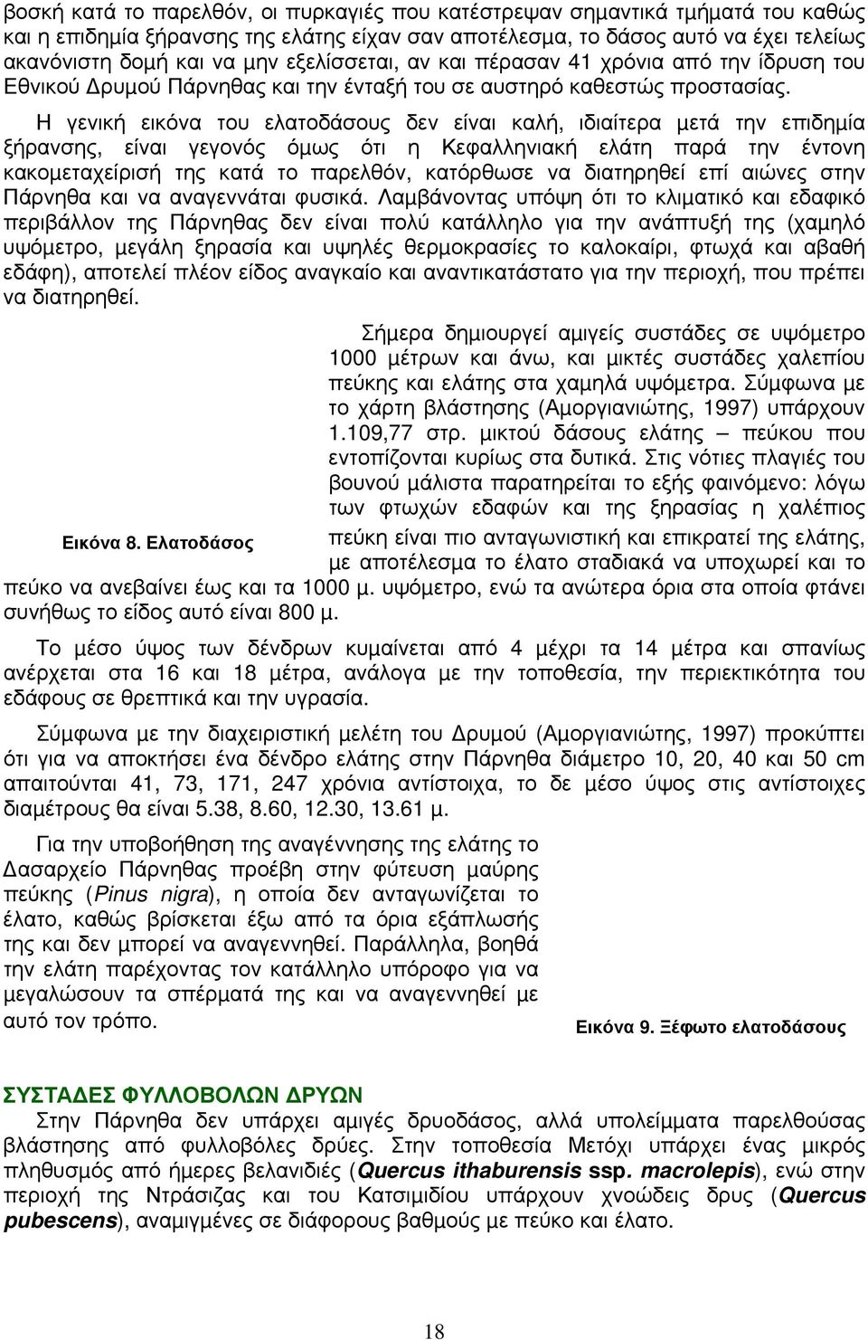 Η γενική εικόνα του ελατοδάσους δεν είναι καλή, ιδιαίτερα µετά την επιδηµία ξήρανσης, είναι γεγονός όµως ότι η Κεφαλληνιακή ελάτη παρά την έντονη κακοµεταχείρισή της κατά το παρελθόν, κατόρθωσε να